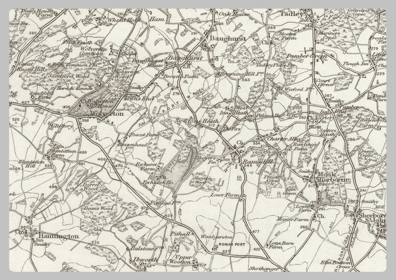 1890 Collection - Basingstoke Ordnance Survey Map