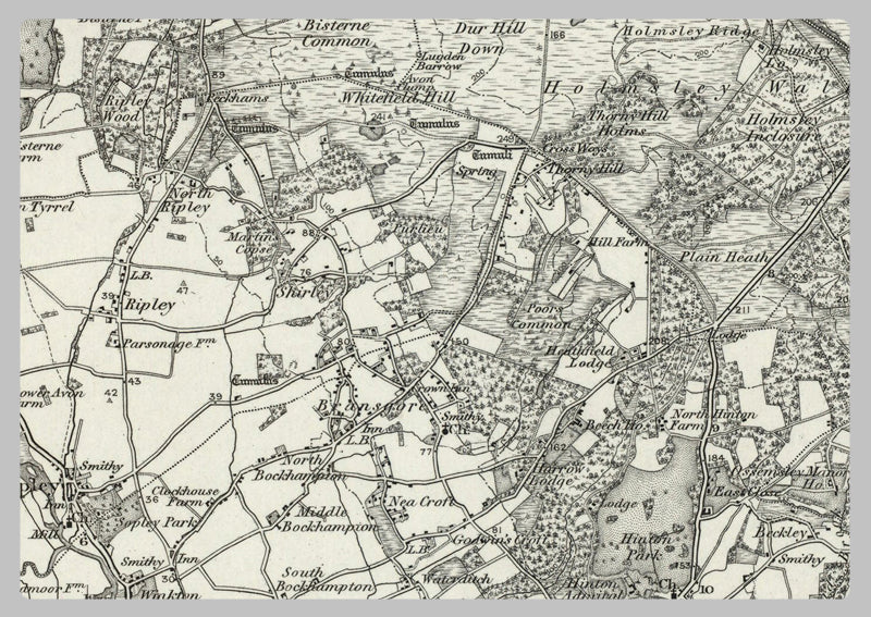 1890 Collection - Bournemouth (Ringwood) Ordnance Survey Map