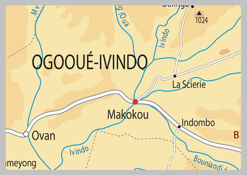 Physical Map of Gabon - The Oxford Collection