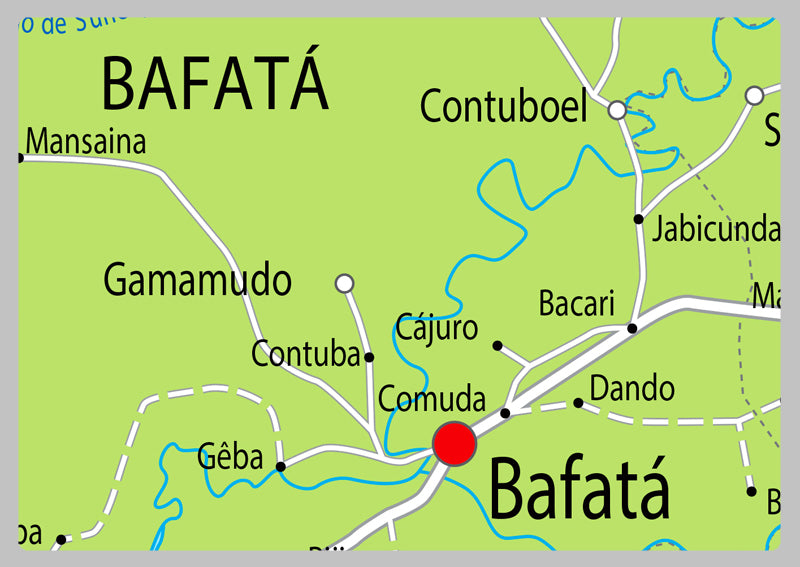 Physical Map of Guinea Bissau - The Oxford Collection