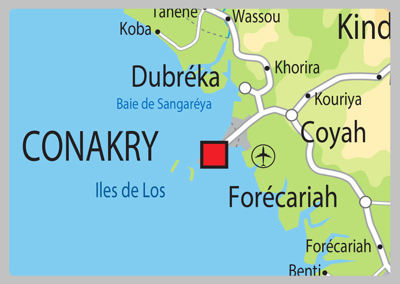 Physical Map of Guinea - The Oxford Collection