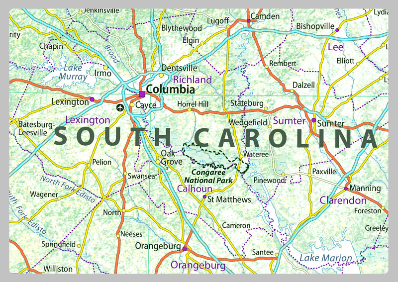 South Carolina Physical State Map