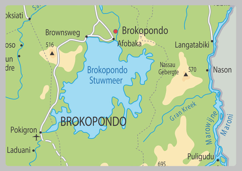 Physical Map of Suriname - The Oxford Collection