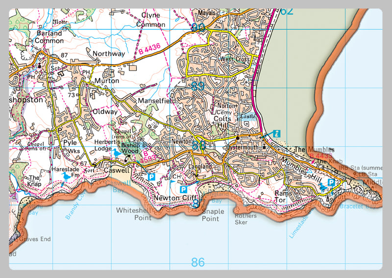 Swansea County Map