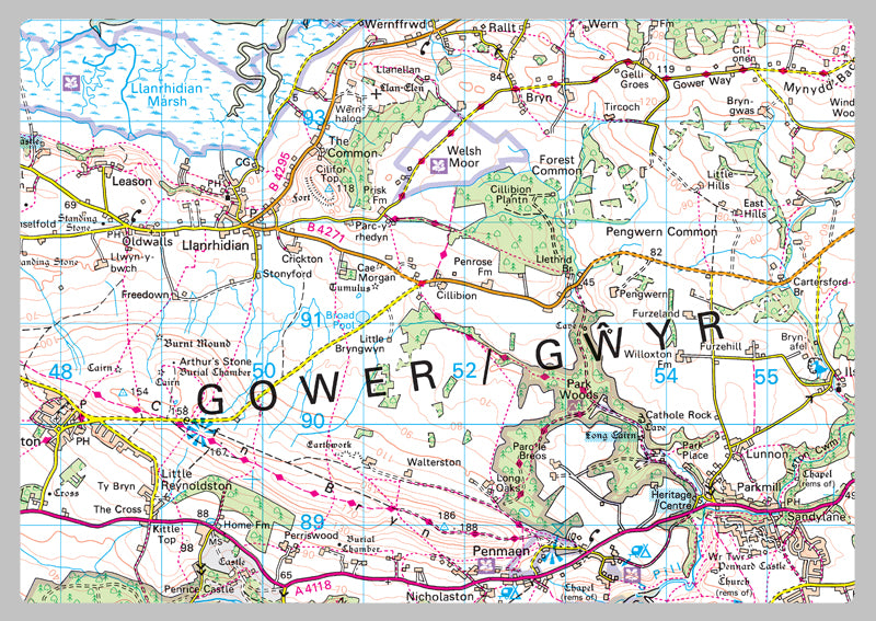 Swansea County Map