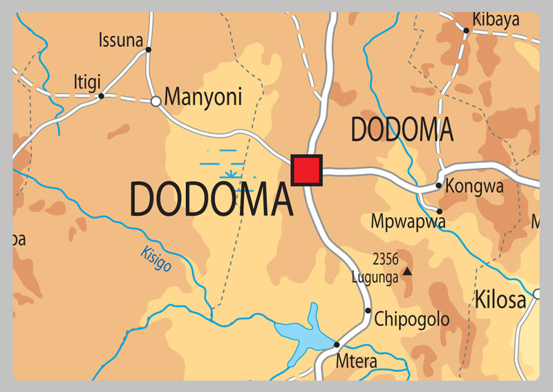 Tanzania Physical Map