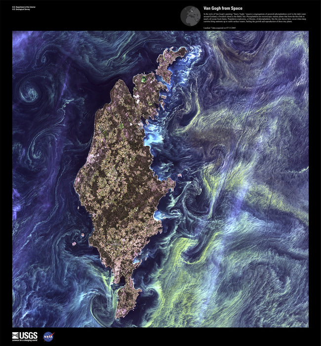 Van Gogh from Space - Earth as Art