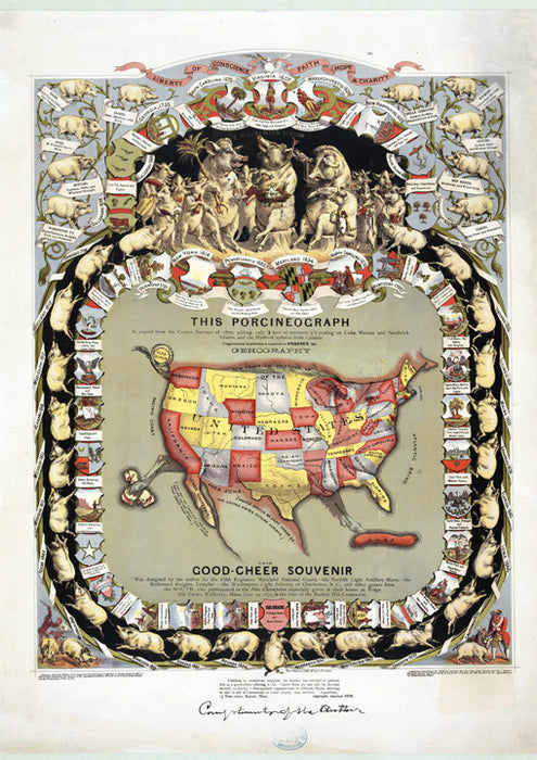 1876 - Porcineograph of the USA